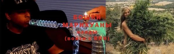 сатива Каменногорск