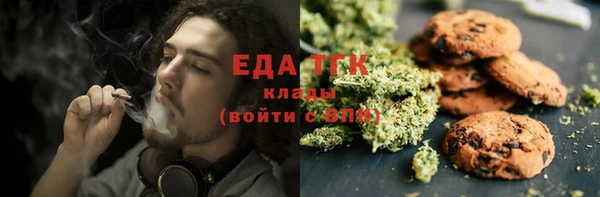 сатива Каменногорск