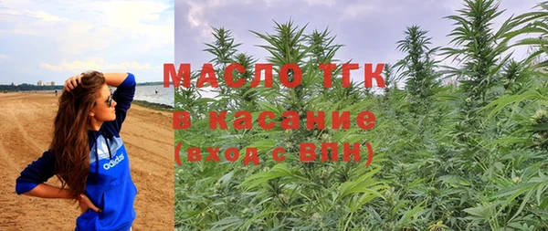 сатива Каменногорск