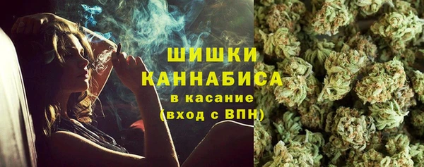 сатива Каменногорск