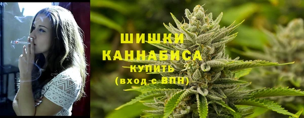 бошки Каменка