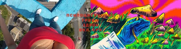бошки Каменка