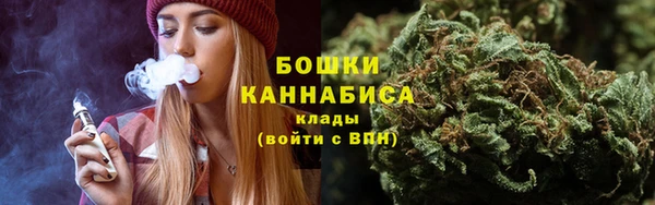сатива Каменногорск
