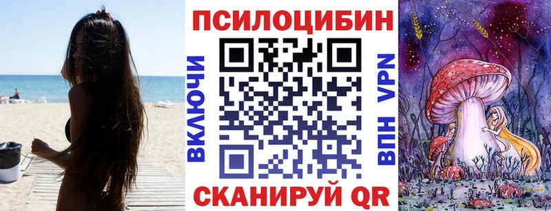 Галлюциногенные грибы MAGIC MUSHROOMS  Куртамыш 